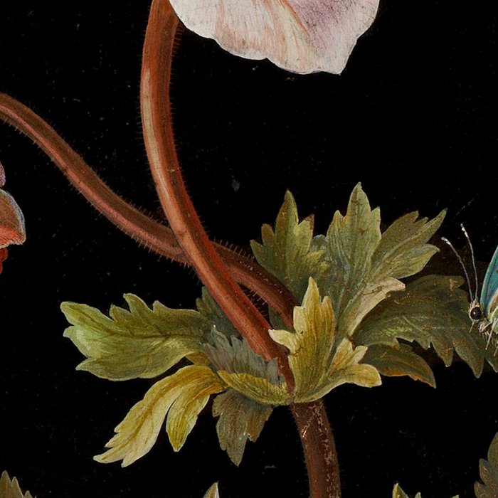 Peonies with a butterfly - Johann Christoph Bayer -1812- Antique Lifelike Botanical Nature Painting Coffee Mug Gallery Image 2