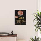 Peonies with a butterfly - Johann Christoph Bayer -1812- Antique Lifelike Botanical Nature Painting Poster Gallery Image 2