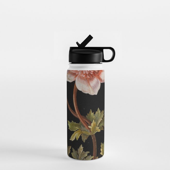 Peonies with a butterfly - Johann Christoph Bayer -1812- Antique Lifelike Botanical Nature Painting Water Bottle Gallery Image 1