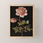 Peonies with a butterfly - Johann Christoph Bayer -1812- Antique Lifelike Botanical Nature Painting Mini Art Print Gallery Image 1