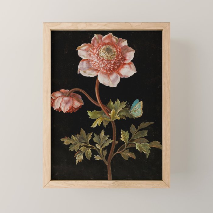 Peonies with a butterfly - Johann Christoph Bayer -1812- Antique Lifelike Botanical Nature Painting Mini Art Print Gallery Image 1