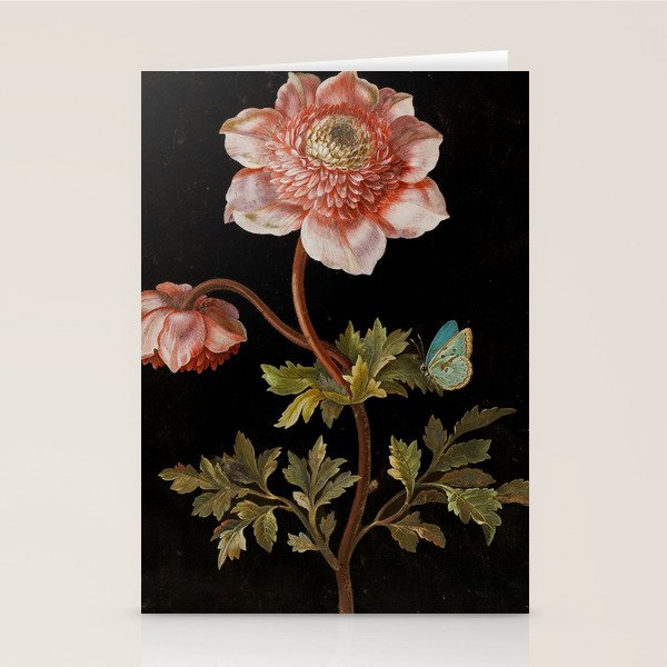 Peonies with a butterfly - Johann Christoph Bayer -1812- Antique Lifelike Botanical Nature Painting Stationery Card Gallery Image 2
