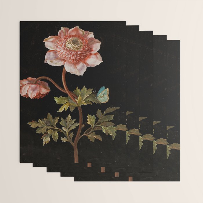 Peonies with a butterfly - Johann Christoph Bayer -1812- Antique Lifelike Botanical Nature Painting Wrapping Paper Gallery Image 3