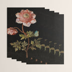 Peonies with a butterfly - Johann Christoph Bayer -1812- Antique Lifelike Botanical Nature Painting Wrapping Paper Gallery Image 3