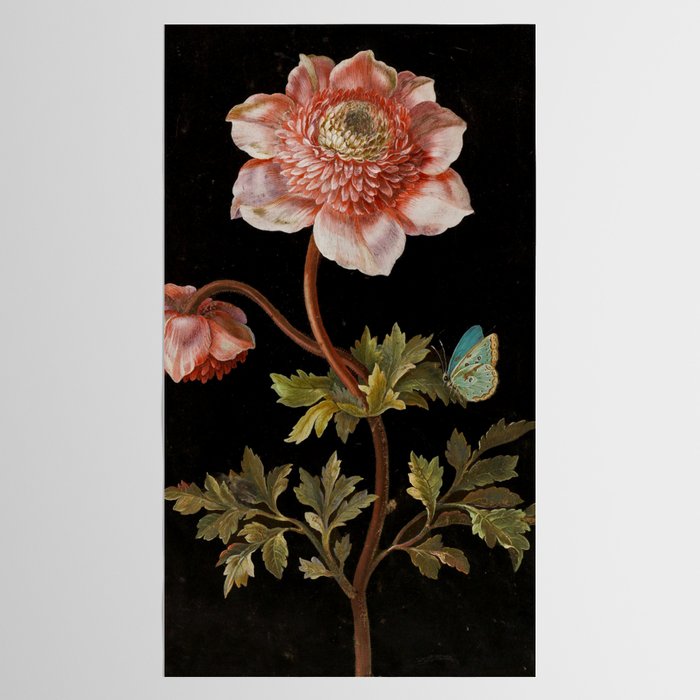 Peonies with a butterfly - Johann Christoph Bayer -1812- Antique Lifelike Botanical Nature Painting Tablecloth Gallery Image 2