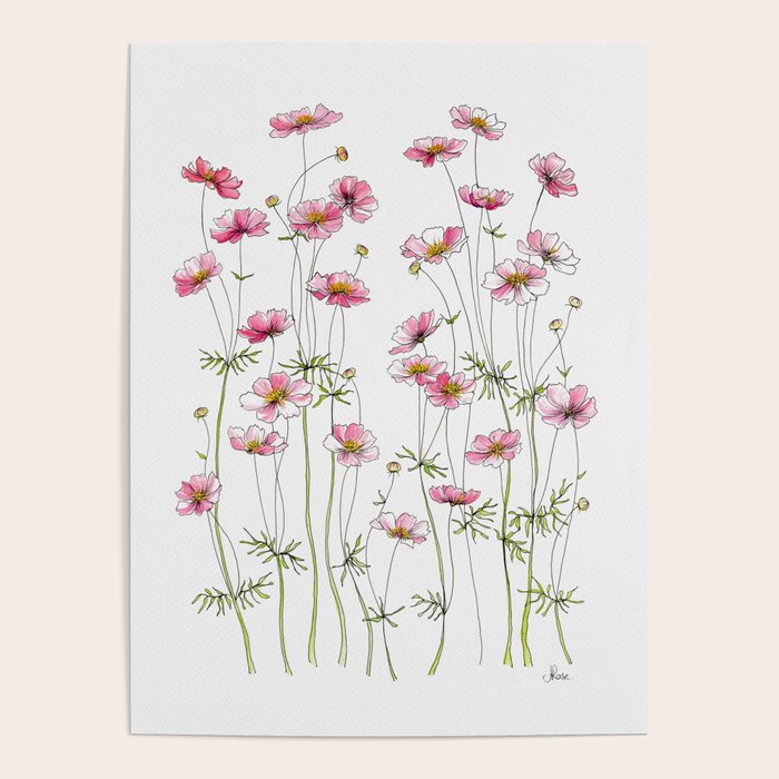 Pink Cosmos Flowers Poster Gallery Image 1