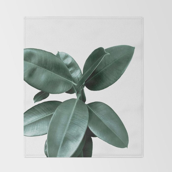 Rubber fig Plant Throw Blanket Gallery Image 2