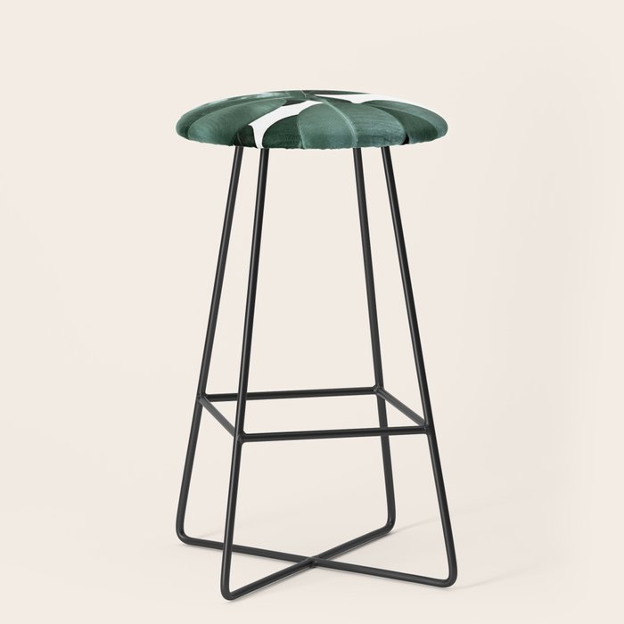 Rubber fig Plant Stool Gallery Image 1