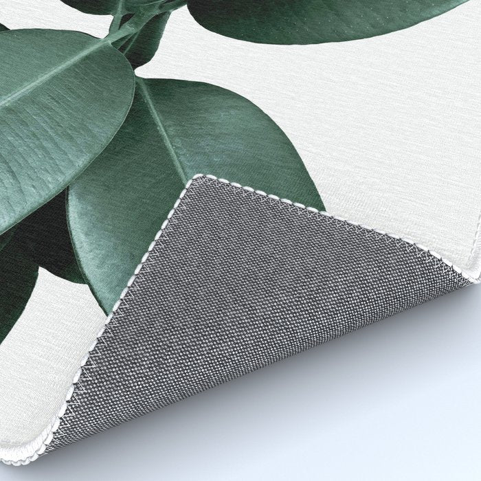 Rubber fig Plant Rug Gallery Image 4