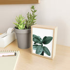 Rubber fig Plant Mini Art Print Gallery Image 2