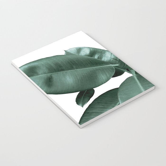 Rubber fig Plant Notebook Gallery Image 3