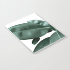 Rubber fig Plant Notebook Gallery Image 3