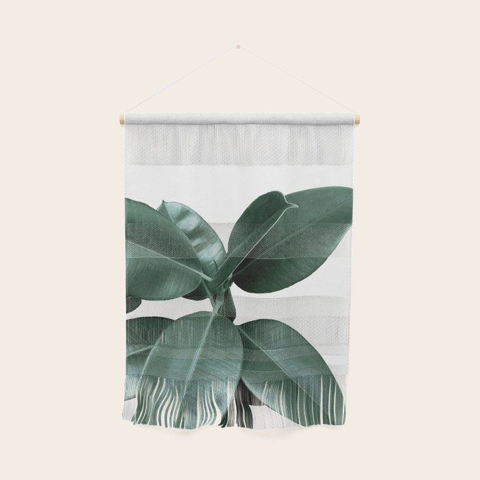 Rubber fig Plant Wall Hanging Gallery Image 1