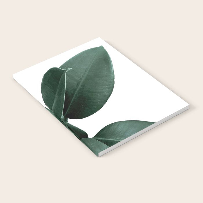 Rubber fig Plant Notebook Gallery Image 2