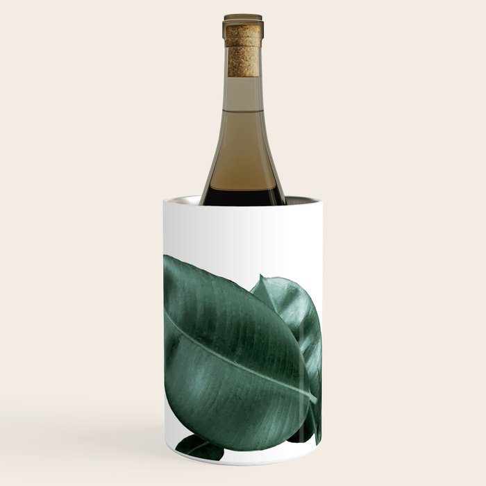 Rubber fig Plant Wine Chiller Gallery Image 2