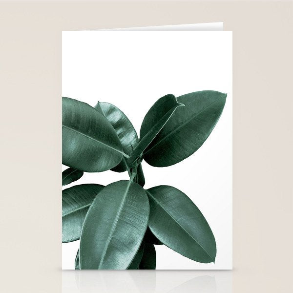 Rubber fig Plant Stationery Card Gallery Image 2