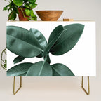 Rubber fig Plant Credenza Gallery Image 1