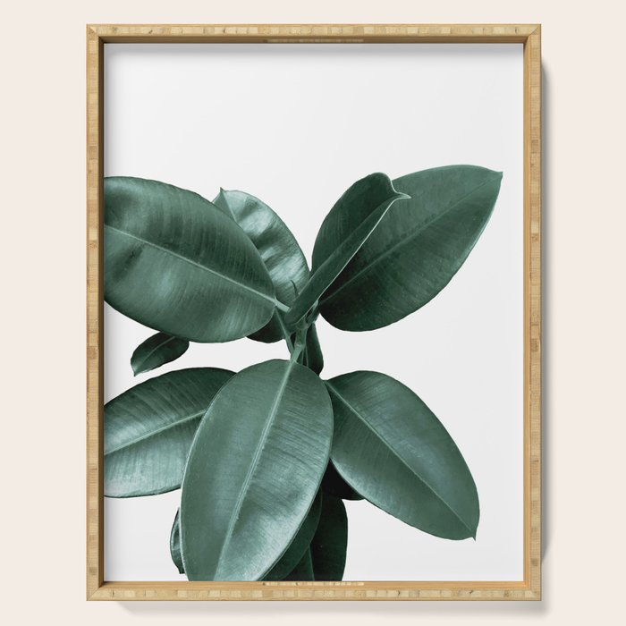 Rubber fig Plant Serving Tray Gallery Image 1