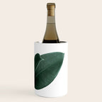 Rubber fig Plant Wine Chiller Gallery Image 3