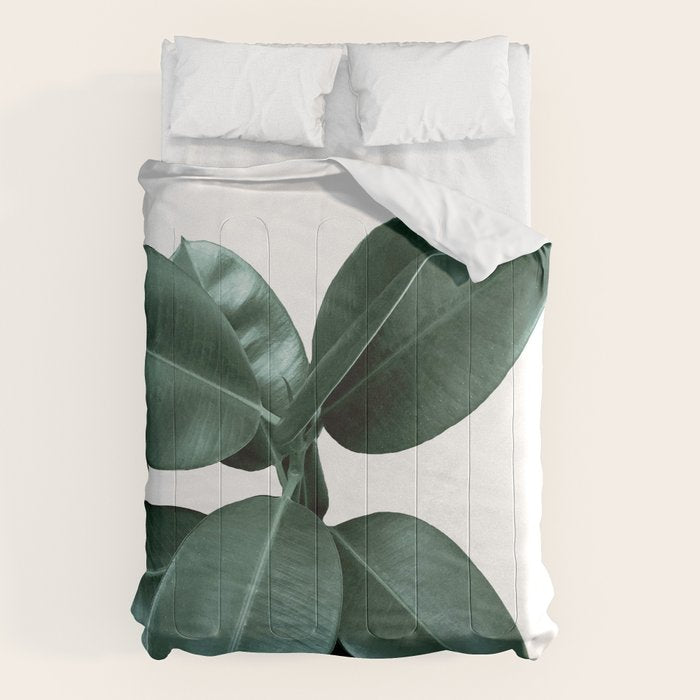 Rubber fig Plant Comforter Gallery Image 6