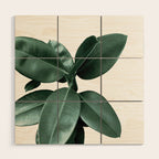 Rubber fig Plant Wood Wall Art Gallery Image 1