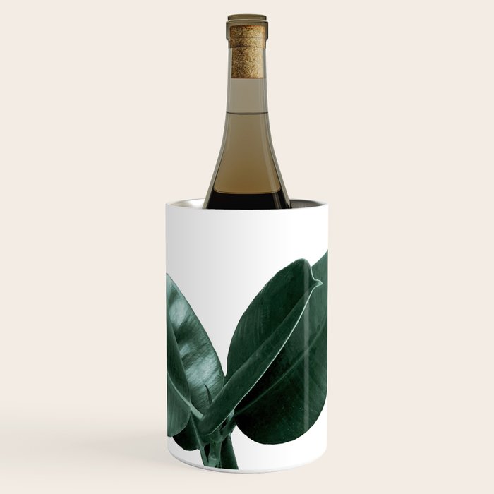 Rubber fig Plant Wine Chiller Gallery Image 1