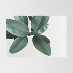 Rubber fig Plant Rug Gallery Image 2