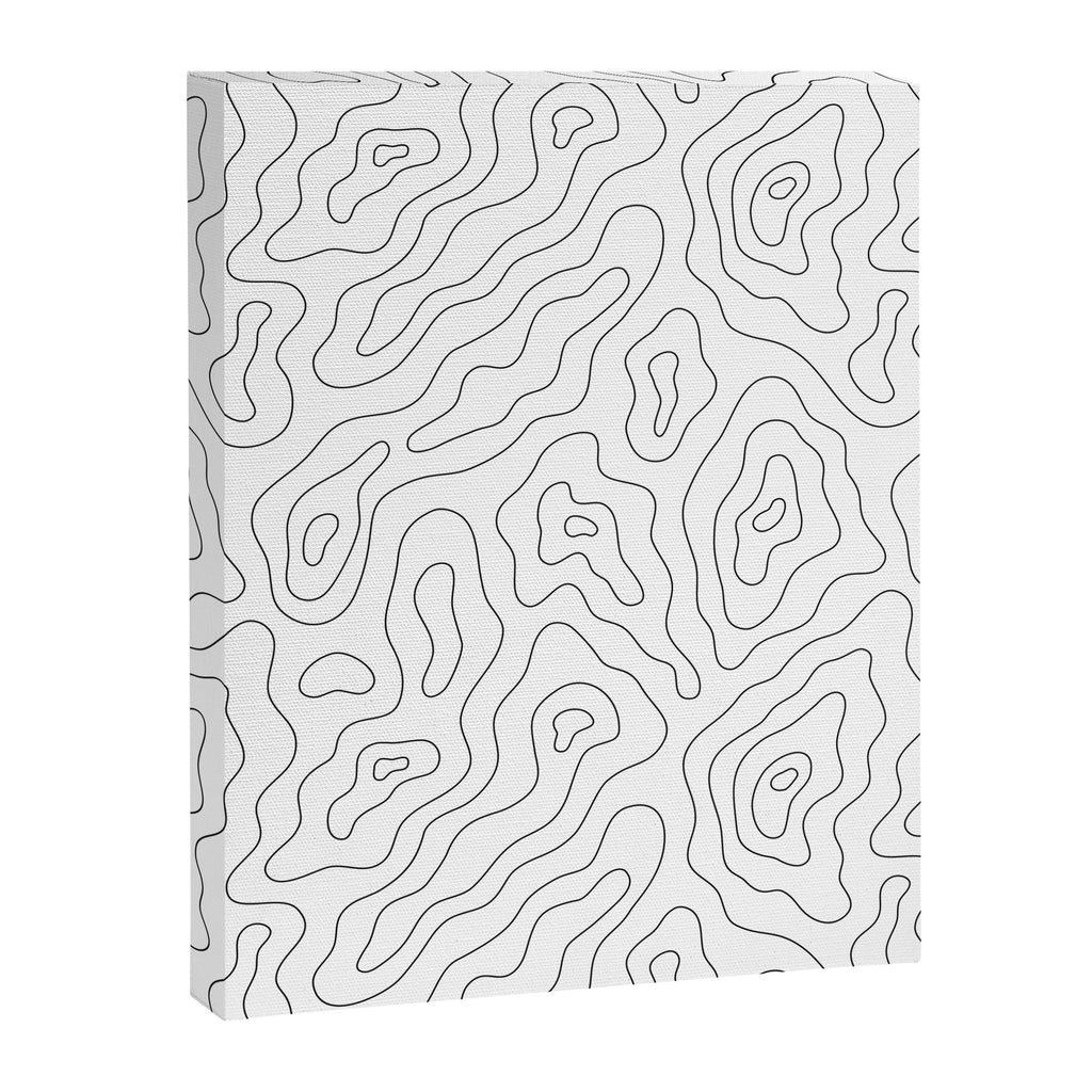 Abstract topography map line art pattern Canvas Print Gallery Image 3