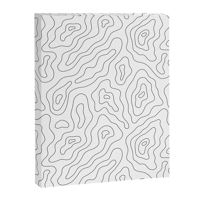 Abstract topography map line art pattern Canvas Print Gallery Image 1