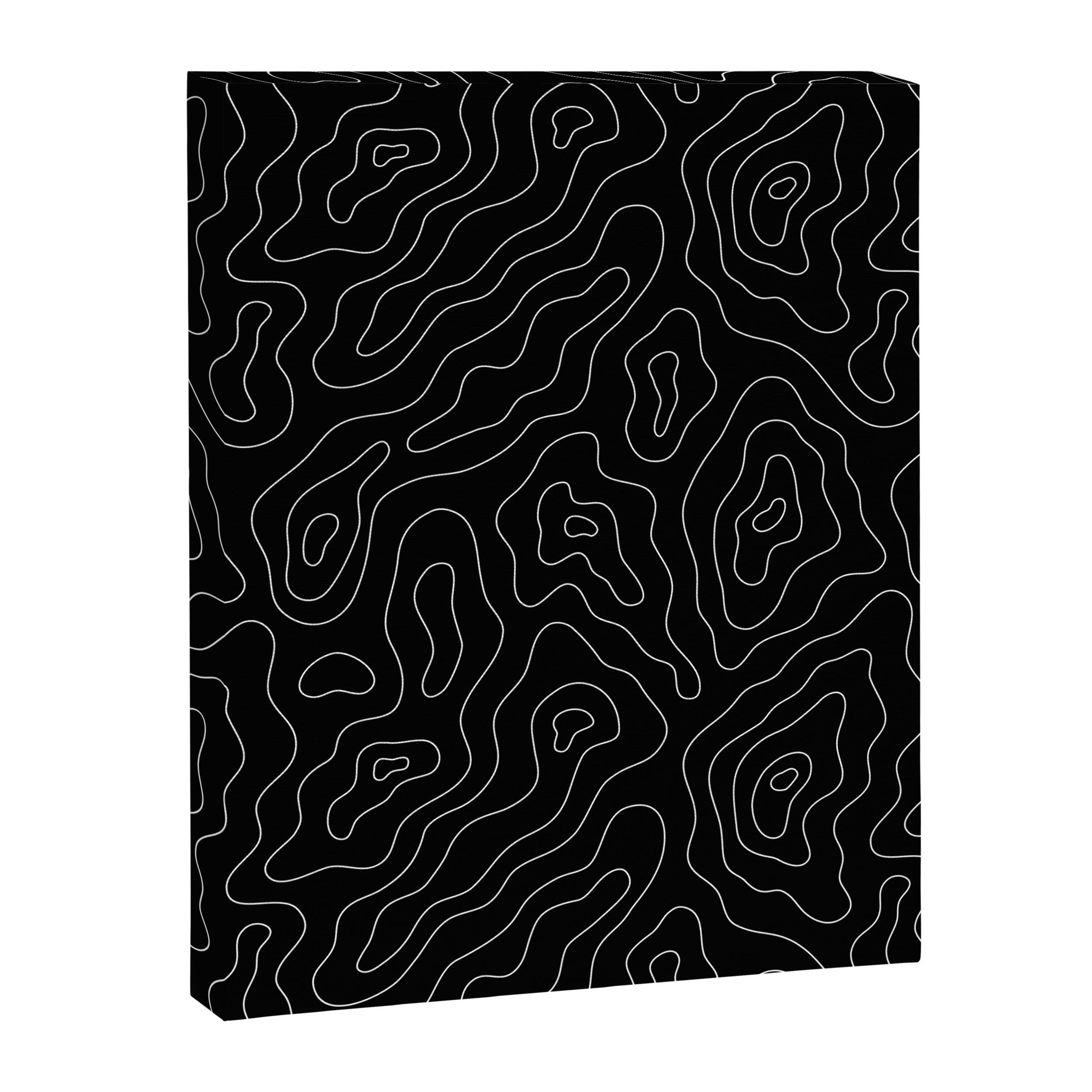 Abstract topography map line art pattern Canvas Print Gallery Image 8