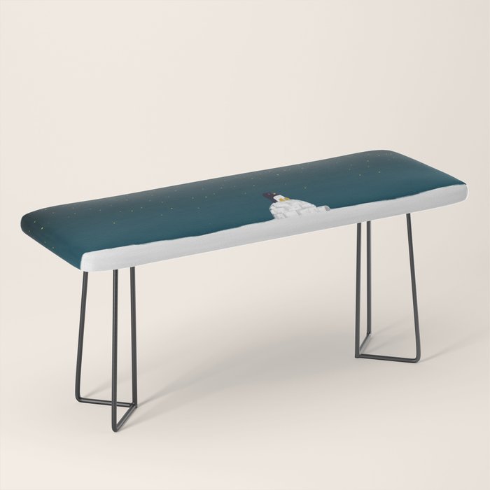 Star gazing - Penguin's dream of flying Bench Gallery Image 1