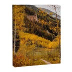 Autumn in Aspen Canvas Print Gallery Image 6