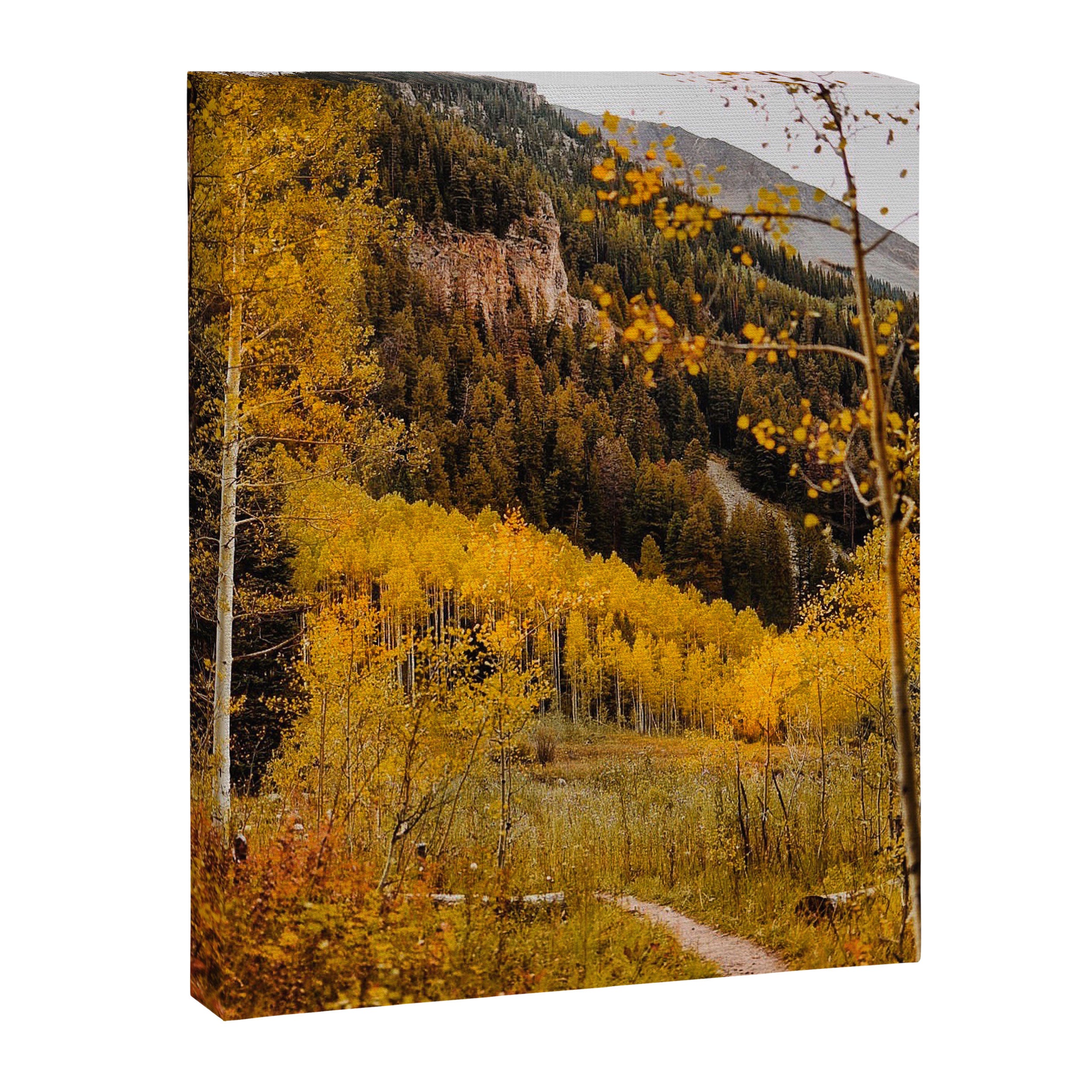 Autumn in Aspen Canvas Print Gallery Image 6
