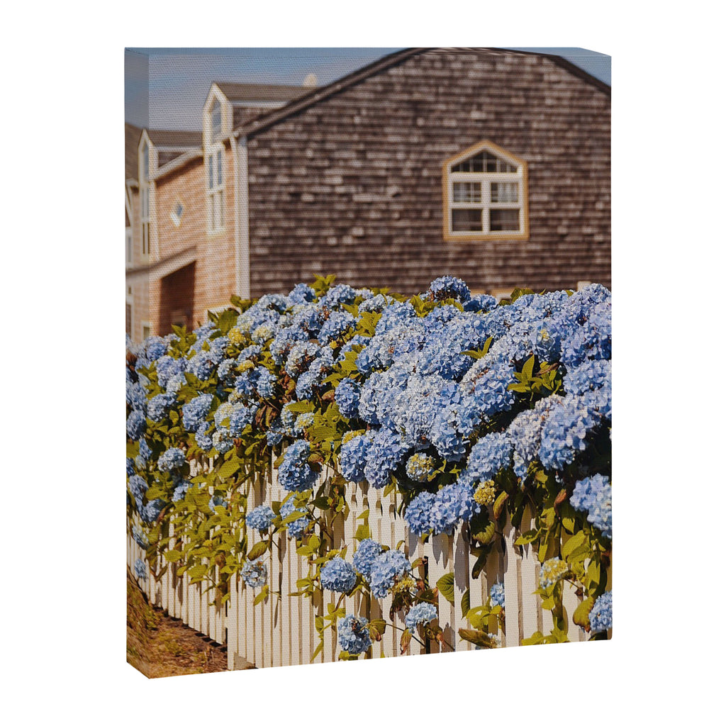 Cannon Beach Hydrangeas  Canvas Print Gallery Image 6