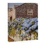 Cannon Beach Hydrangeas  Canvas Print Gallery Image 6