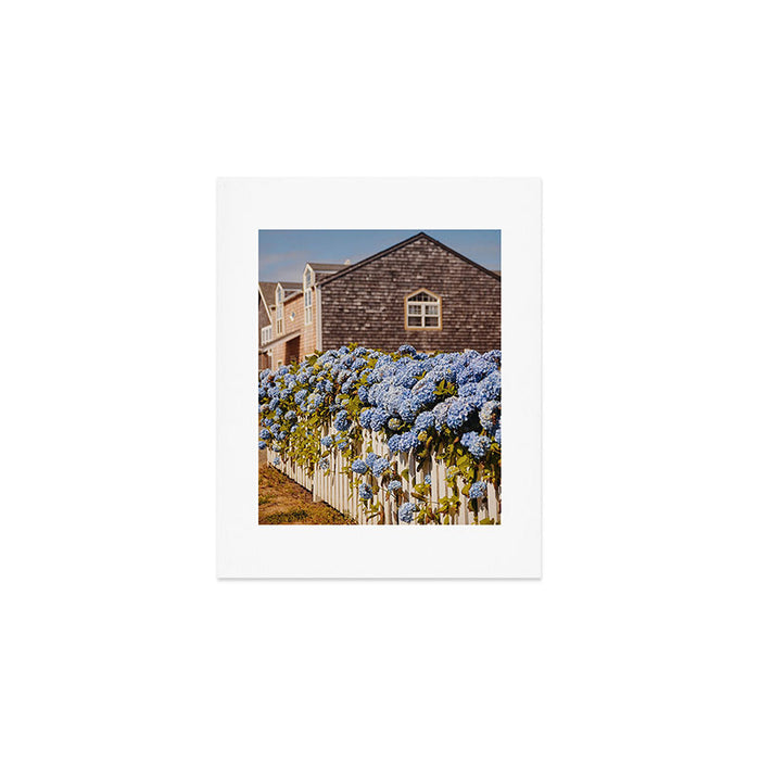 Cannon Beach Hydrangeas  Art Print Gallery Image 1