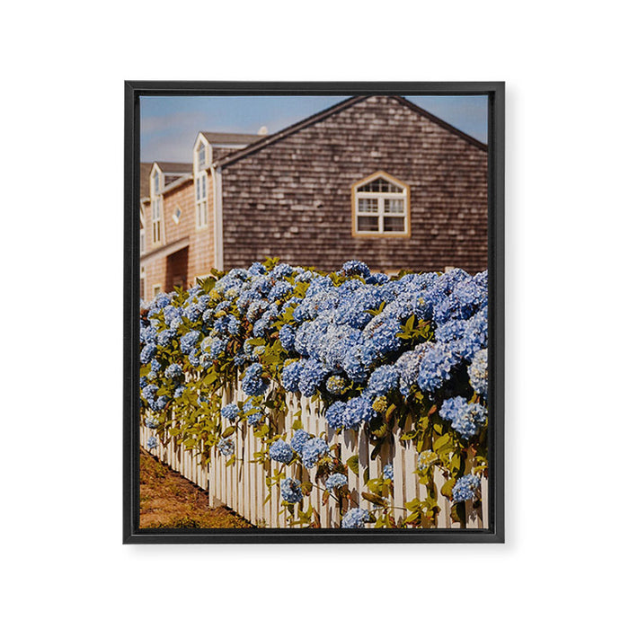 Cannon Beach Hydrangeas  Framed Canvas Print Gallery Image 1