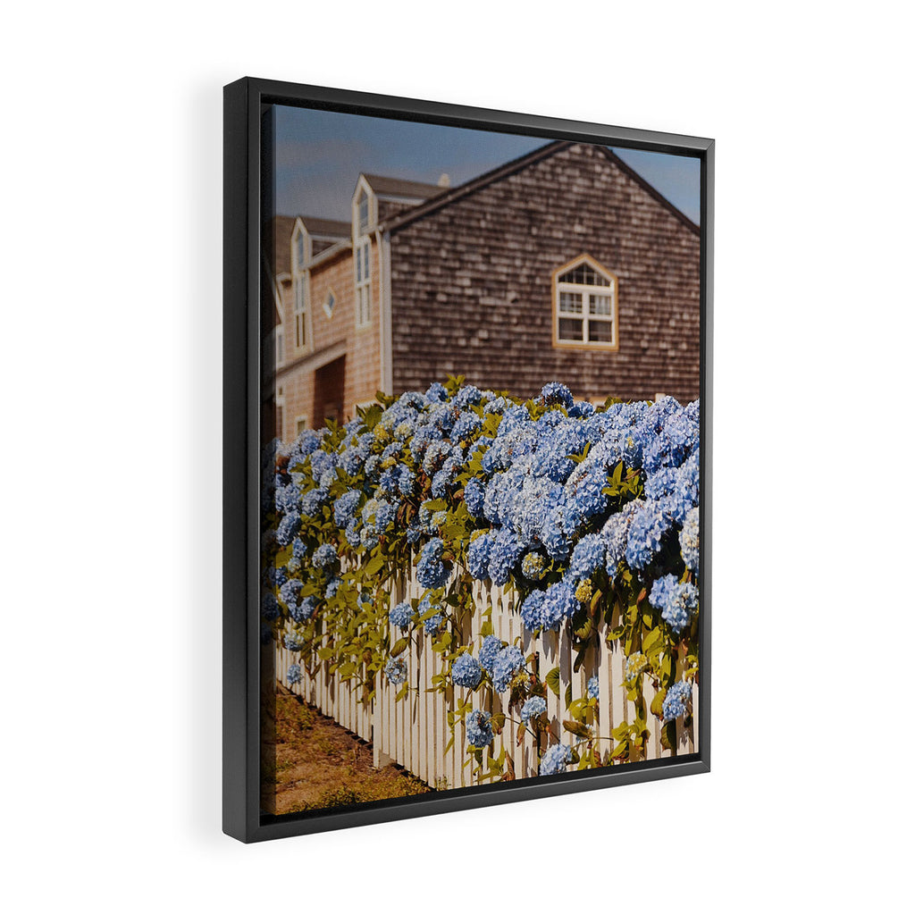 Cannon Beach Hydrangeas  Framed Canvas Print Gallery Image 2