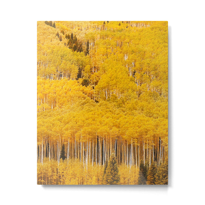 Colorado Gold Rush Metal Print Gallery Image 1