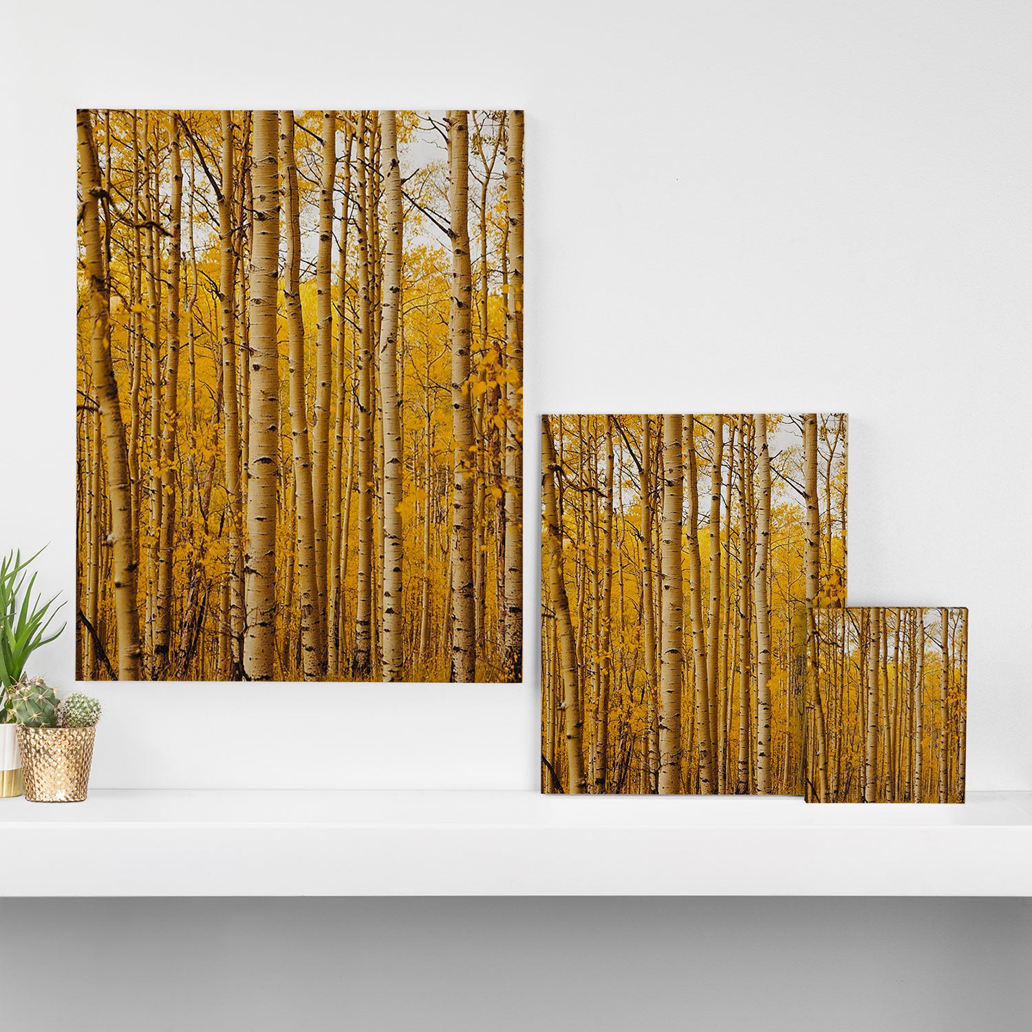 Fairplay Forest Canvas Print Gallery Image 3