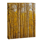 Fairplay Forest Canvas Print Gallery Image 6