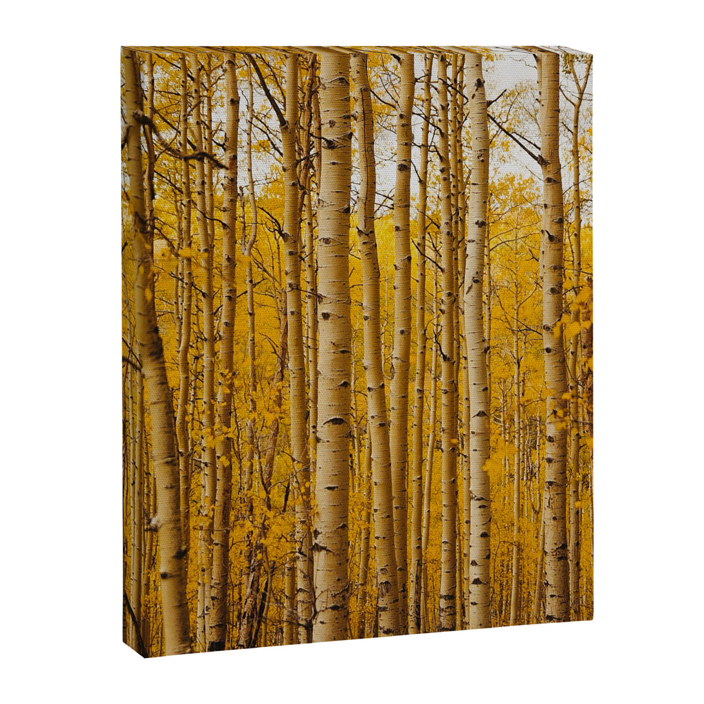 Fairplay Forest Canvas Print Gallery Image 3