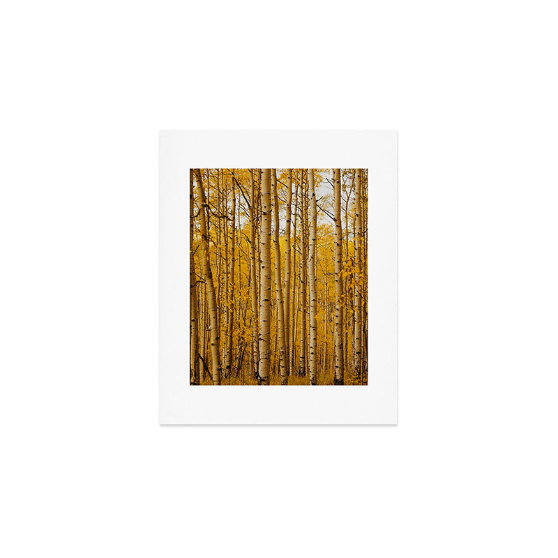 Fairplay Forest Art Print Gallery Image 1