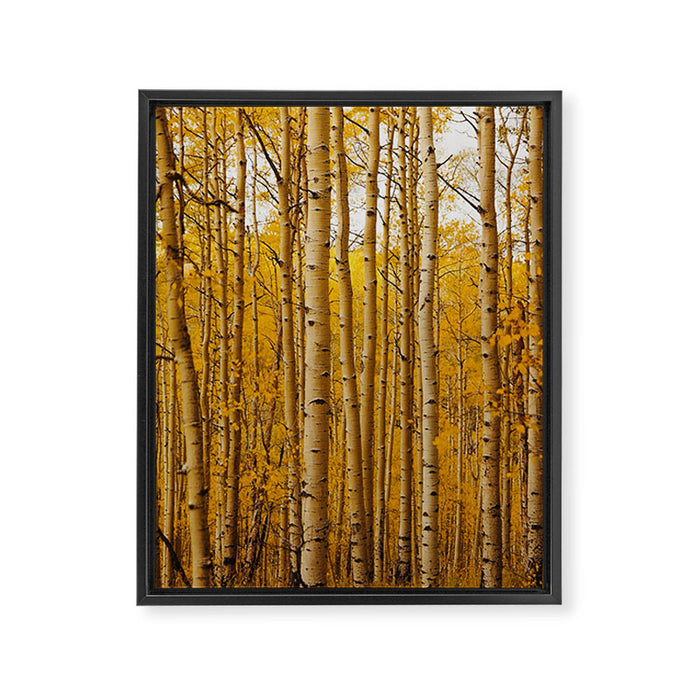 Fairplay Forest Framed Canvas Print Gallery Image 1