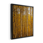 Fairplay Forest Framed Canvas Print Gallery Image 2