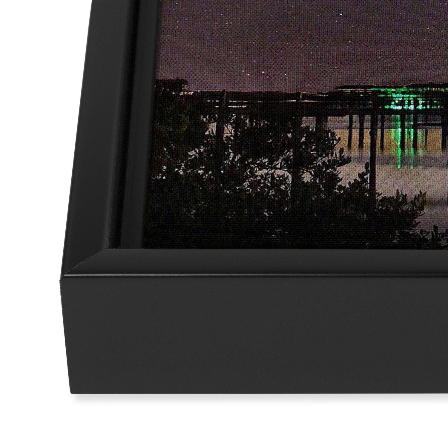 Florida Milky Way Framed Canvas Print Gallery Image 3