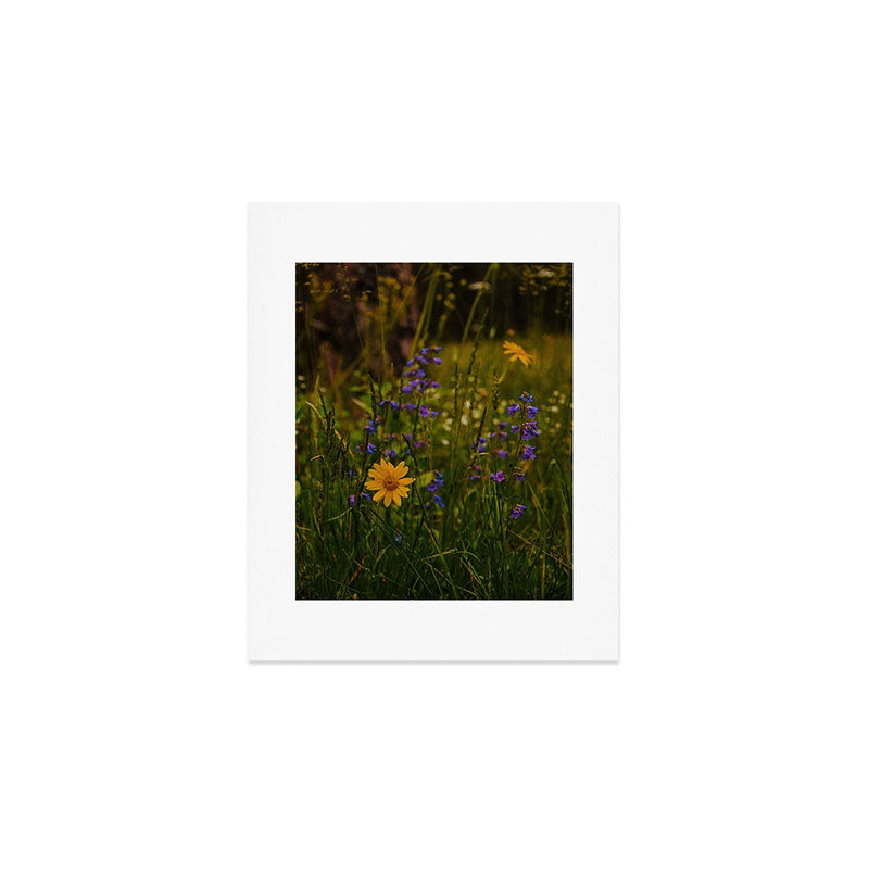 Front Range Flora Art Print Gallery Image 1