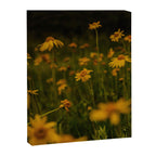 Front Range Flora II Canvas Print Gallery Image 6
