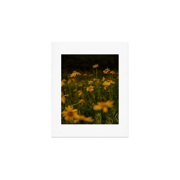 Front Range Flora II Art Print Gallery Image 1