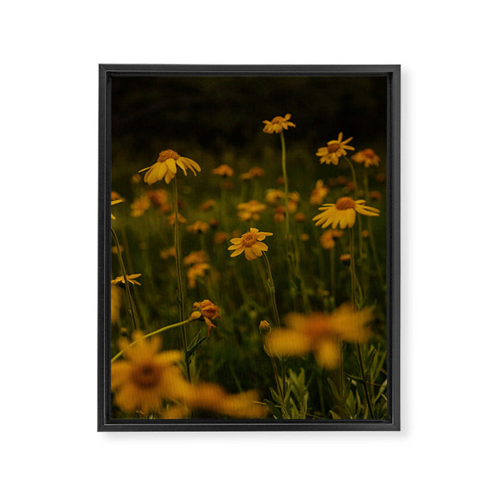 Front Range Flora II Framed Canvas Print Gallery Image 1